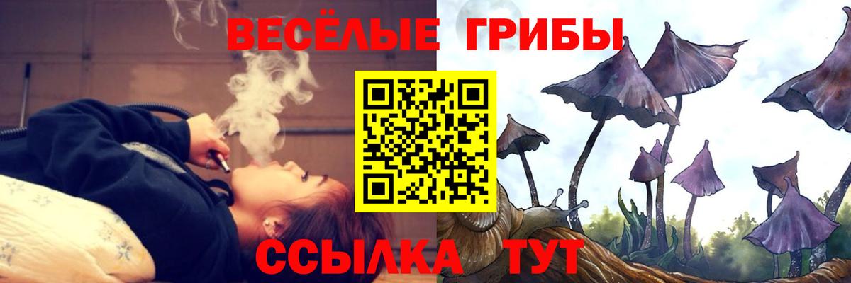 Псилоцибиновые грибы Psilocybe Егорьевск